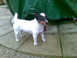 1 2011 09 13 Image052
