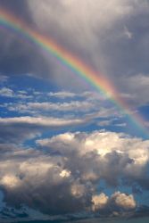 Rainbow Bridge Poems, Prayers & Stories