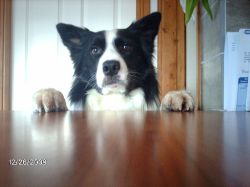 2010.02.05buddy