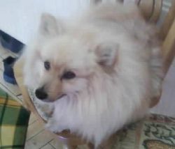 2010.04.21 Jake