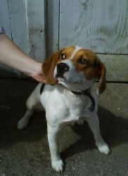 2010.07.14 Buddy