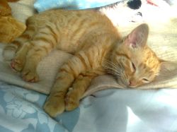2011 09 09 Image0805