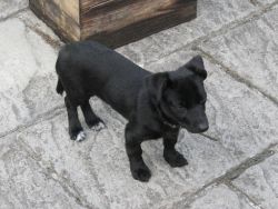 Found 22nd June 2011