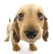 Vaccines: Save 10% on Thursdays