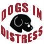 Dog in Distress