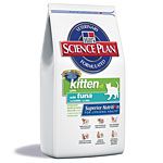 Kitten with Tuna