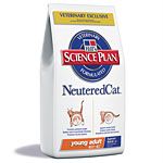 Neutered Cat Young Adult